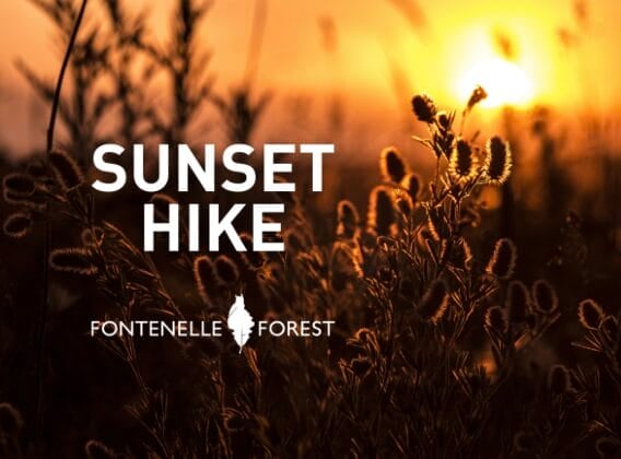 Sunset Hike